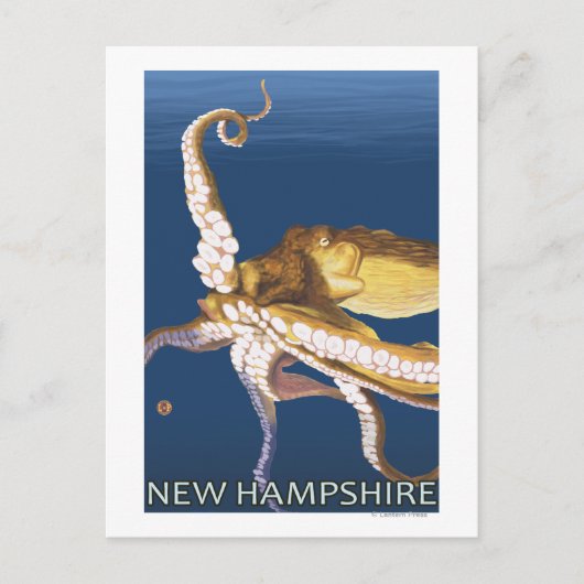 New Hampshire Octopus Scene Briefkaart (Voorkant)