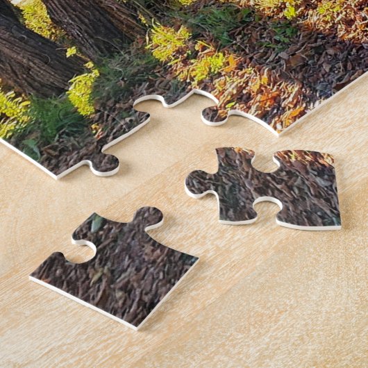 New Hampshire Park Bridge Legpuzzel (Zijkant)