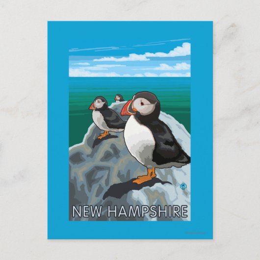 New Hampshire Puffins Scene Briefkaart (Voorkant)
