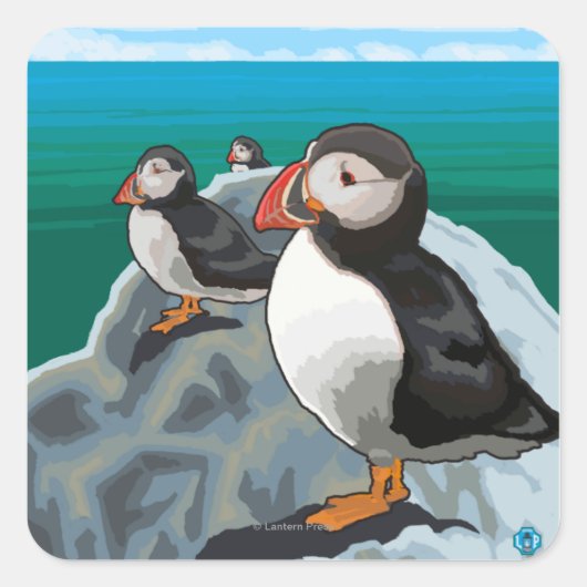 New Hampshire Puffins Scene Vierkante Sticker (Voorkant)