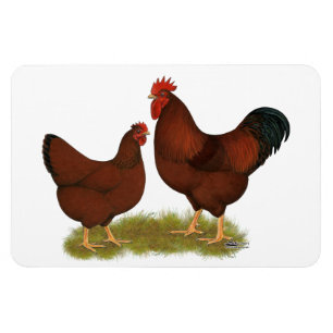 New Hampshire Reds Magneet