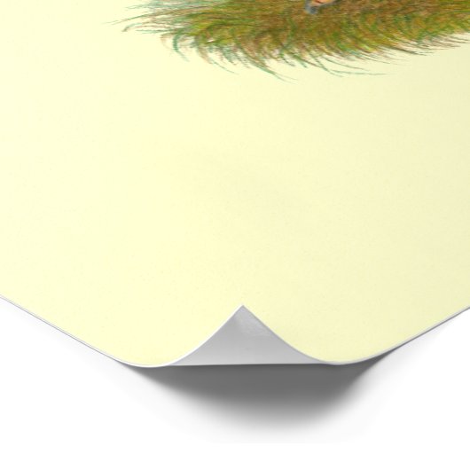 New Hampshire Reds Poster (Hoek)