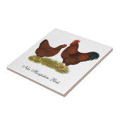 New Hampshire Reds Tegeltje (Zijkant)