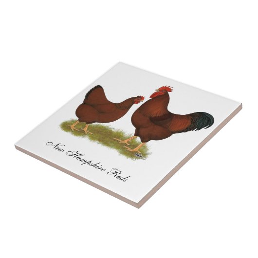 New Hampshire Reds Tegeltje (Zijkant)