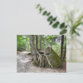 New Hampshire Rock Tree Briefkaart (Staand voorkant)