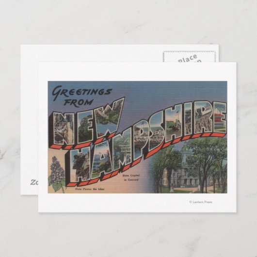New Hampshire (Staatskapitaal/Bloem) Briefkaart (Voorkant / Achterkant)