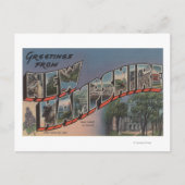 New Hampshire (Staatskapitaal/Bloem) Briefkaart (Voorkant)