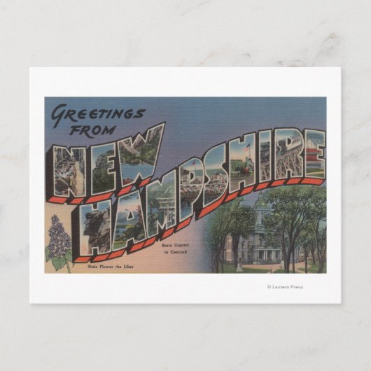 New Hampshire (Staatskapitaal/Bloem) Briefkaart (Voorkant)