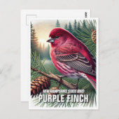 New Hampshire State Bird Paarse vink Briefkaart (Voorkant / Achterkant)