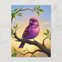 New Hampshire State Bird Purple Finch Briefkaart