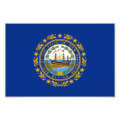 New Hampshire State Flag Foto Afdruk (Voorkant)