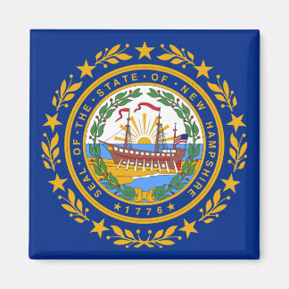 New Hampshire State Flag Magneet