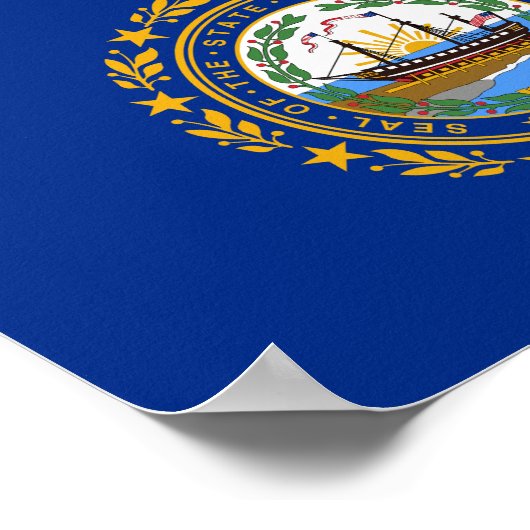 New Hampshire State Flag Poster (Hoek)