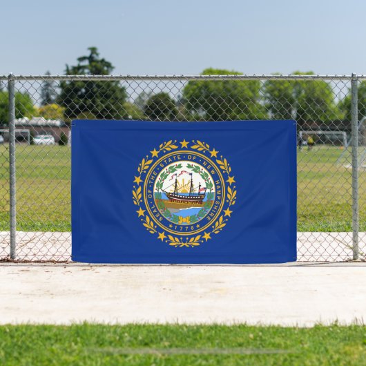 New Hampshire State Flag Spandoek (Insitu)
