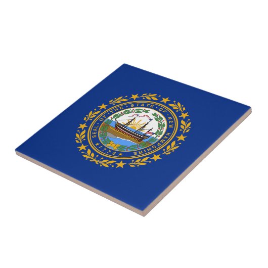 New Hampshire State Flag Tegeltje (Zijkant)