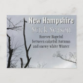 New Hampshire Stick Seizoen New England Foto Briefkaart (Voorkant)