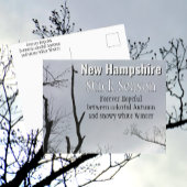 New Hampshire Stick Seizoen New England Foto Briefkaart
