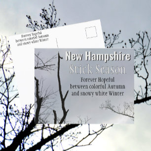 New Hampshire Stick Seizoen New England Foto Briefkaart