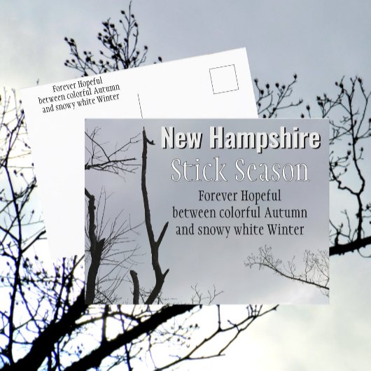 New Hampshire Stick Seizoen New England Foto Briefkaart