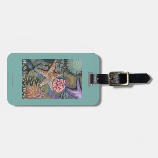 New Hampshire Tidepool Scene Bagagelabel (Voorkant horizontaal)