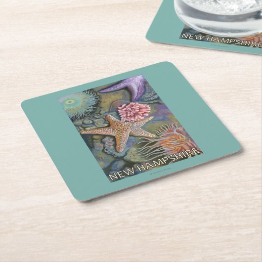 New Hampshire Tidepool Scene Kartonnen Onderzetters (Schuin)