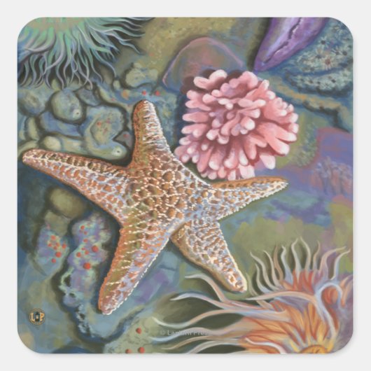 New Hampshire Tidepool Scene Vierkante Sticker (Voorkant)