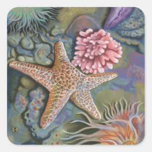 New Hampshire Tidepool Scene Vierkante Sticker