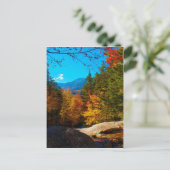 New Hampshire White Mountains Autumn Scene 2013 Briefkaart (Staand voorkant)