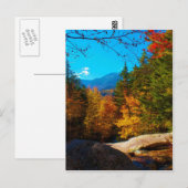 New Hampshire White Mountains Autumn Scene 2013 Briefkaart (Voorkant / Achterkant)