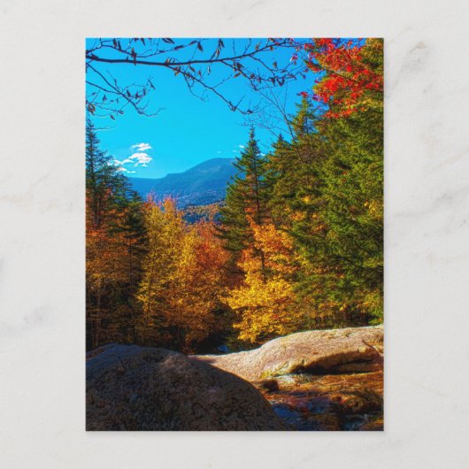New Hampshire White Mountains Autumn Scene 2013 Briefkaart (Voorkant)