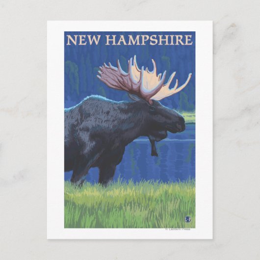 New HampshireMoose in de Moonlight Briefkaart (Voorkant)