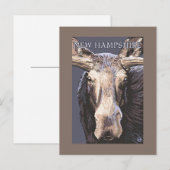 New HampshireMoose Up Close Briefkaart (Voorkant / Achterkant)