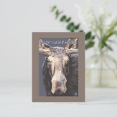 New HampshireMoose Up Close Briefkaart (Staand voorkant)