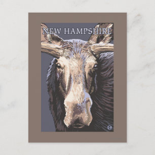 New HampshireMoose Up Close Briefkaart