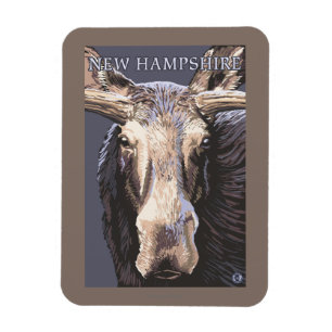 New HampshireMoose Up Close Magneet