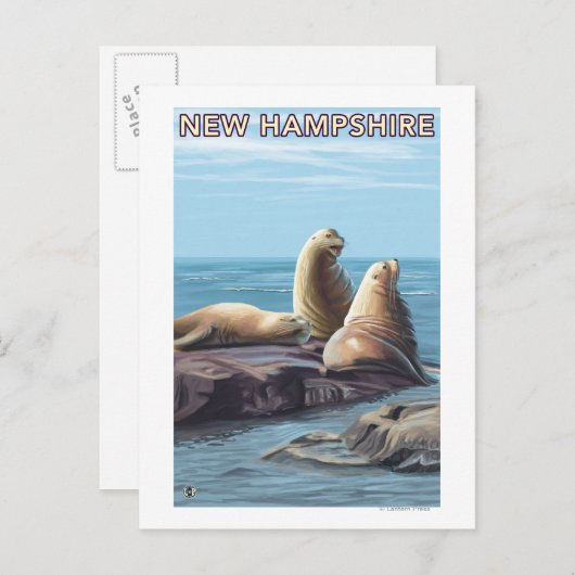 New HampshireSea Lions Scene Briefkaart (Voorkant / Achterkant)