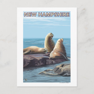 New HampshireSea Lions Scene Briefkaart