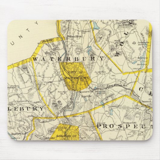 New Haven County Connecticut Muismat (Voorkant)