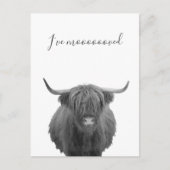 New Home Moving Announcement Highland Koe Aankondigingskaart (Voorkant)