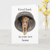 New Home - Rohan de labrador Kaart (Gele Bloem)