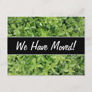 New House Foto van het Plant Green Hedge Shrub Typ Aankondigingskaart