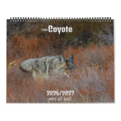 New! 'I am Coyote' 2026/2027 calendar Kalender (Hoes)