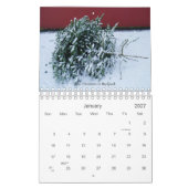 *New* IJslandse ogen 2008, met tekst Kalender (Jan 2027)