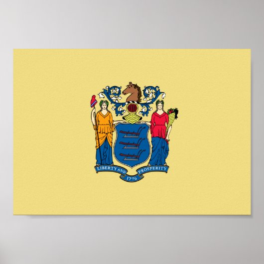 New Jersey Flag Poster (Voorkant)