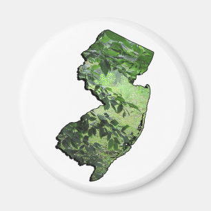 New Jersey Forest State Outline Magneet