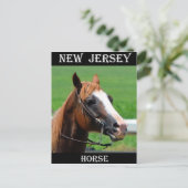 New Jersey Horse Briefkaart (Staand voorkant)