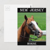 New Jersey Horse Briefkaart (Voorkant / Achterkant)