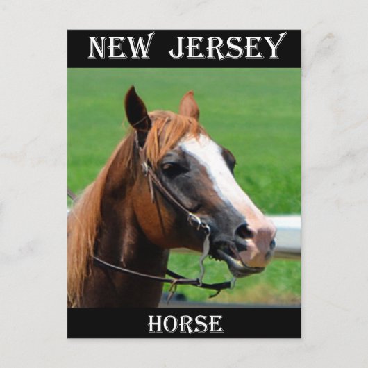 New Jersey Horse Briefkaart (Voorkant)