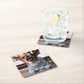 NEW JERSEY HUMOR CHIHUAHUA ONDERZETTERS (Insitu)