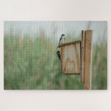 New Jersey Meadowlands geboording toevlucht